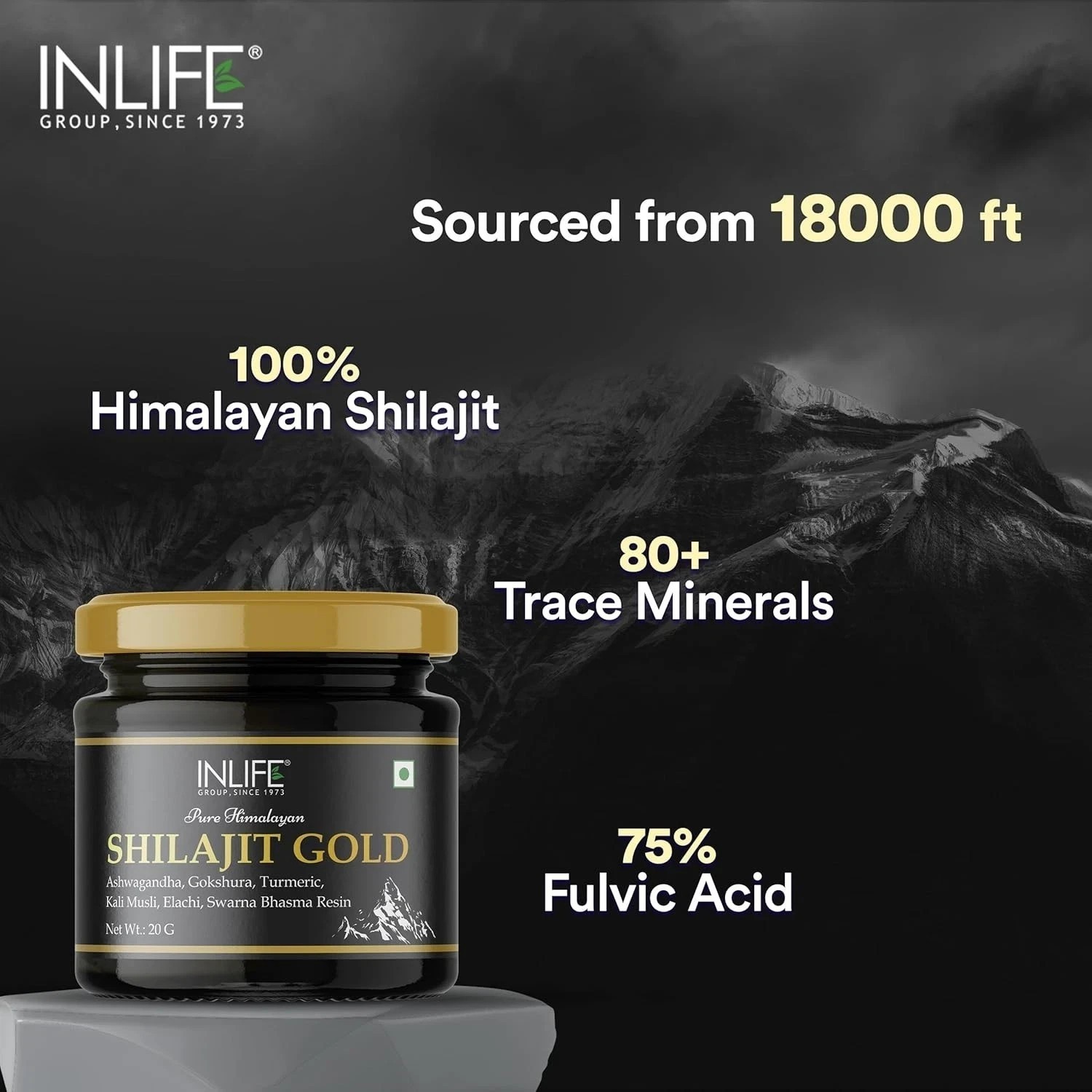 INLIFE Shilajit Gold 20G