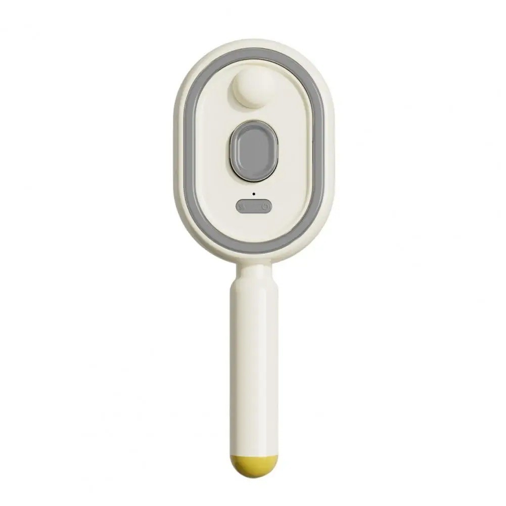 2026 New Electric Steam Brush, Electric Steam Brushs for Hair, Rechargeable