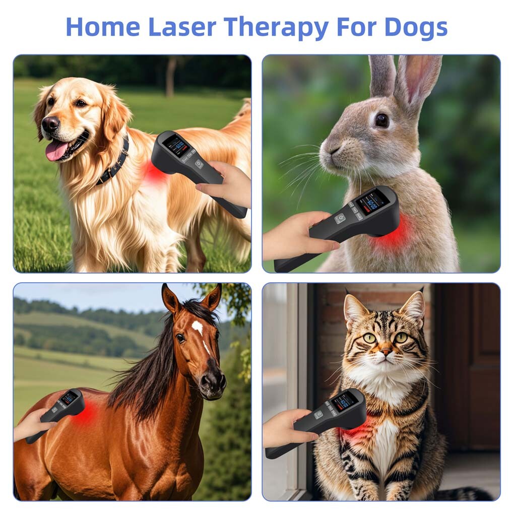 Cold Laser Therapy Device 880mW Pain Relief LLLT Soft Red Light Lazer Treatment