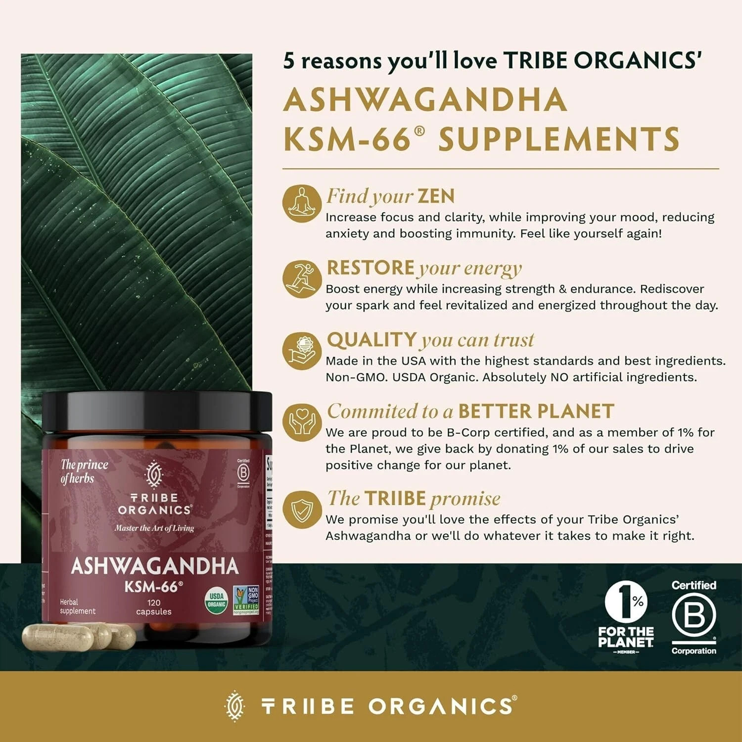 TRIBE ORGANICS Ashwagandha KSM 66 Pure Organic Root Powder Extract – 120 Capsule