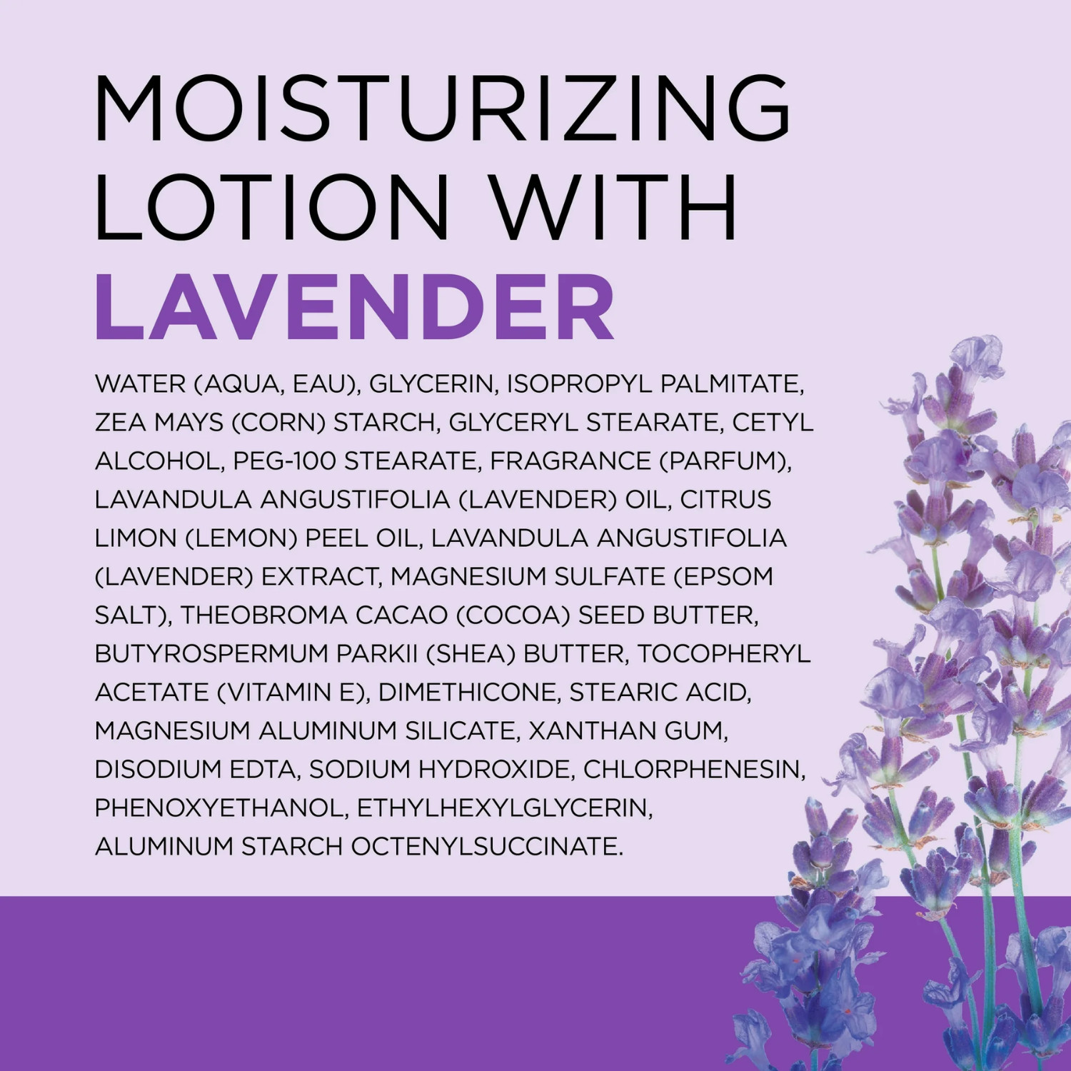 2 PACK Dr Teal’s 24 Hour Moisture Body Lotion – 18 fl oz, Lavender Essential Oil