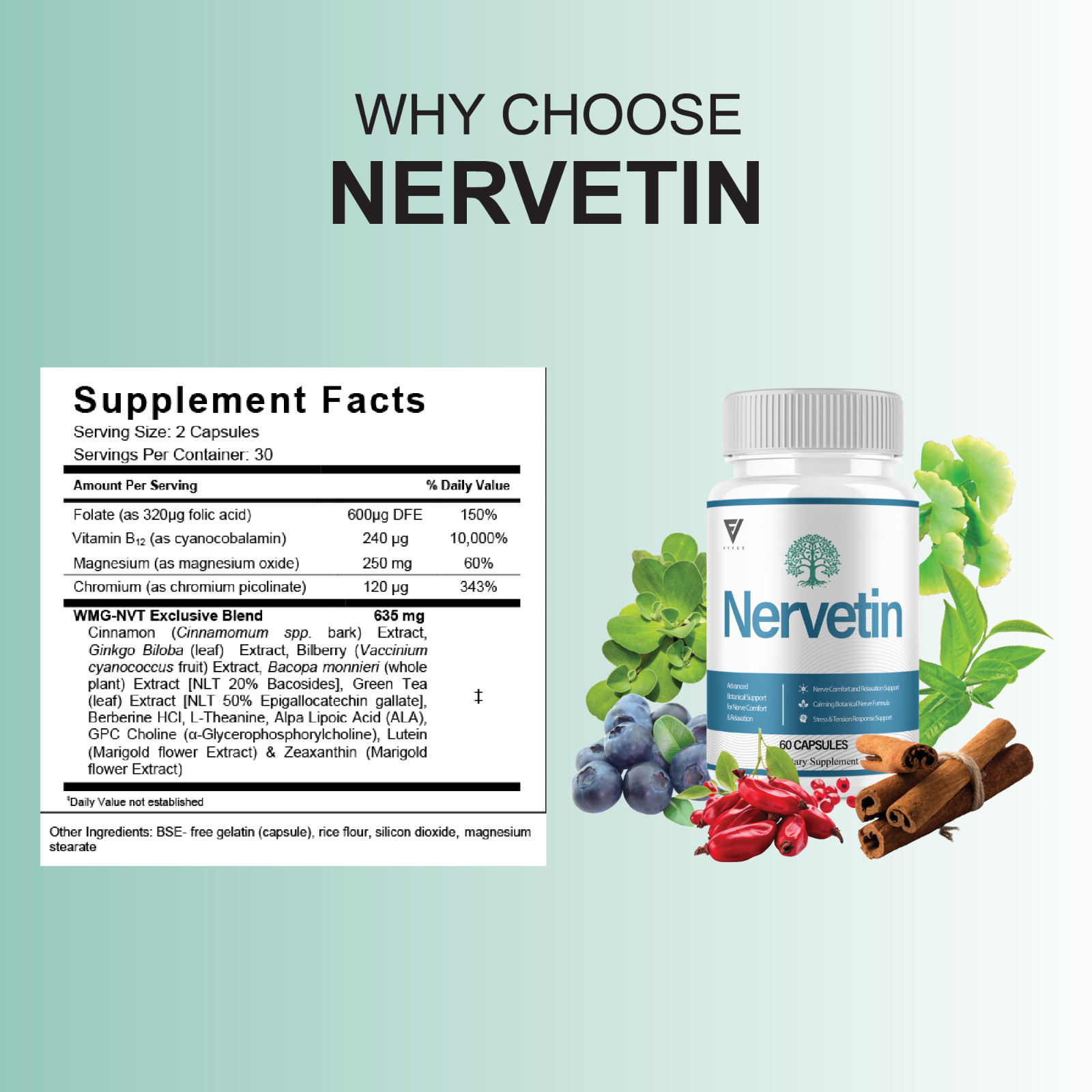 (5 Pack) Nervetin Nootropic Supplement, Nervetin Maximum Strength (300 Capsules)