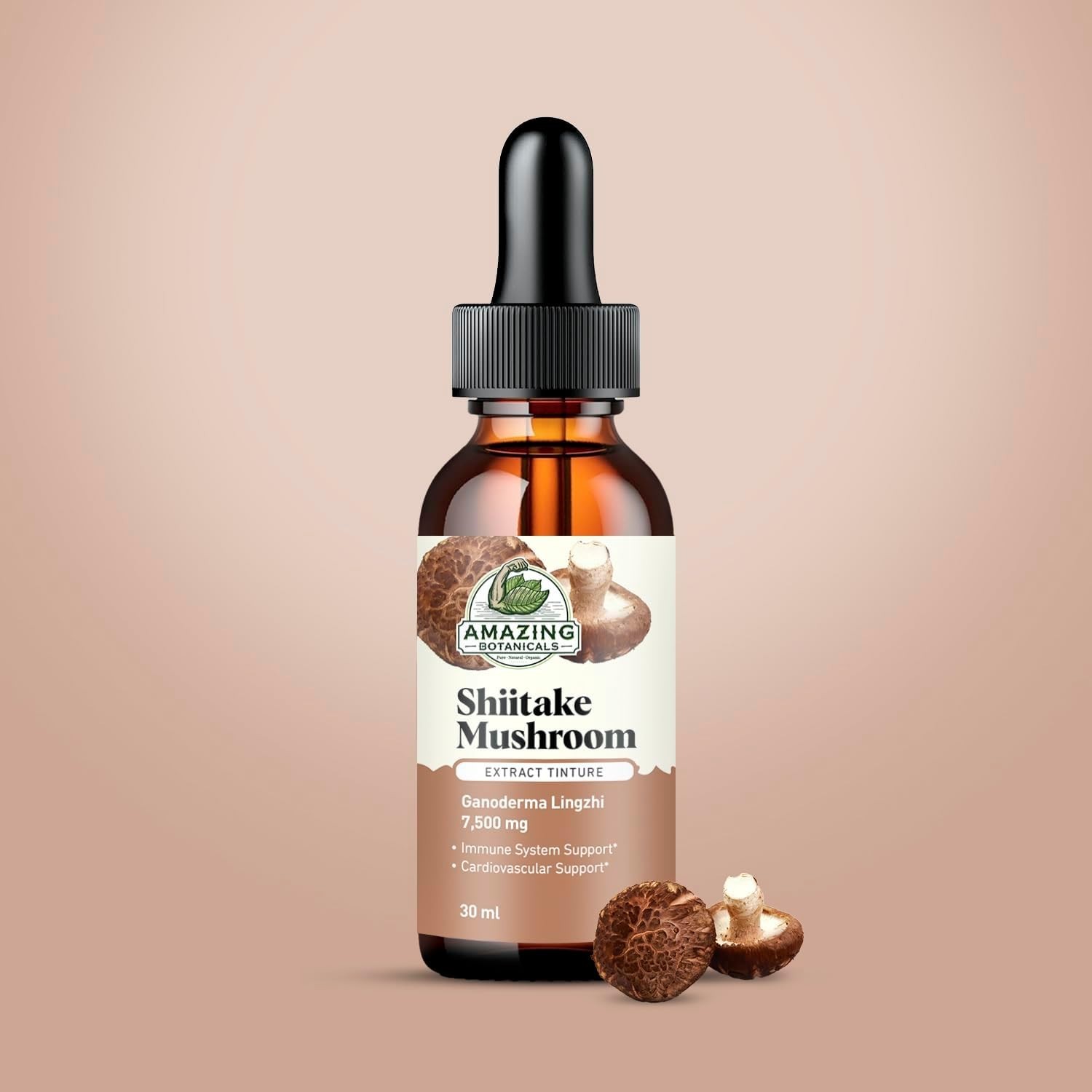 Amazing Botanicals Shiitake Mushroom Extract Tincture Immune Wellness Support