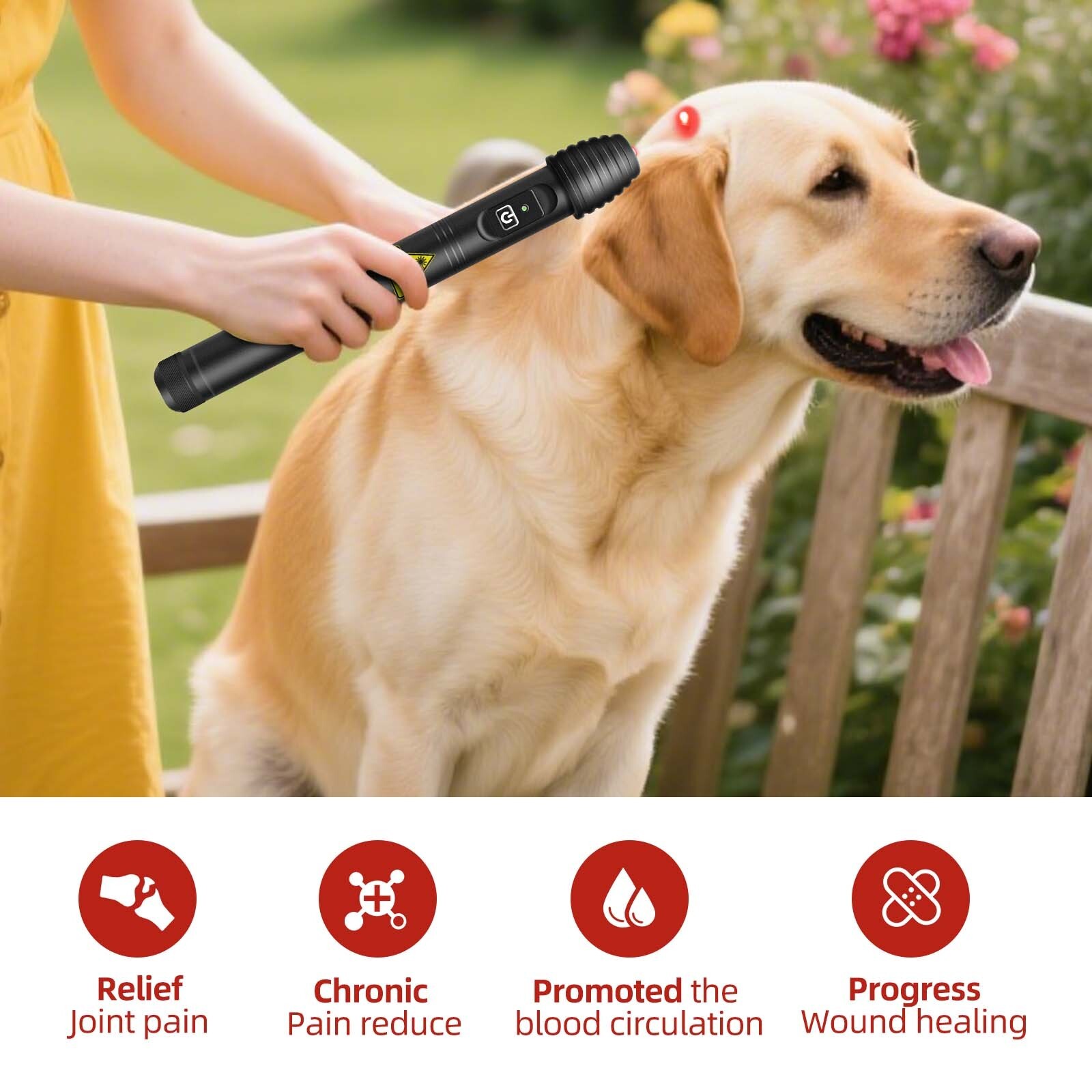 500mW LLLT Red Light Laser Equipment Body Pain Relief Human Pet Physical Therapy