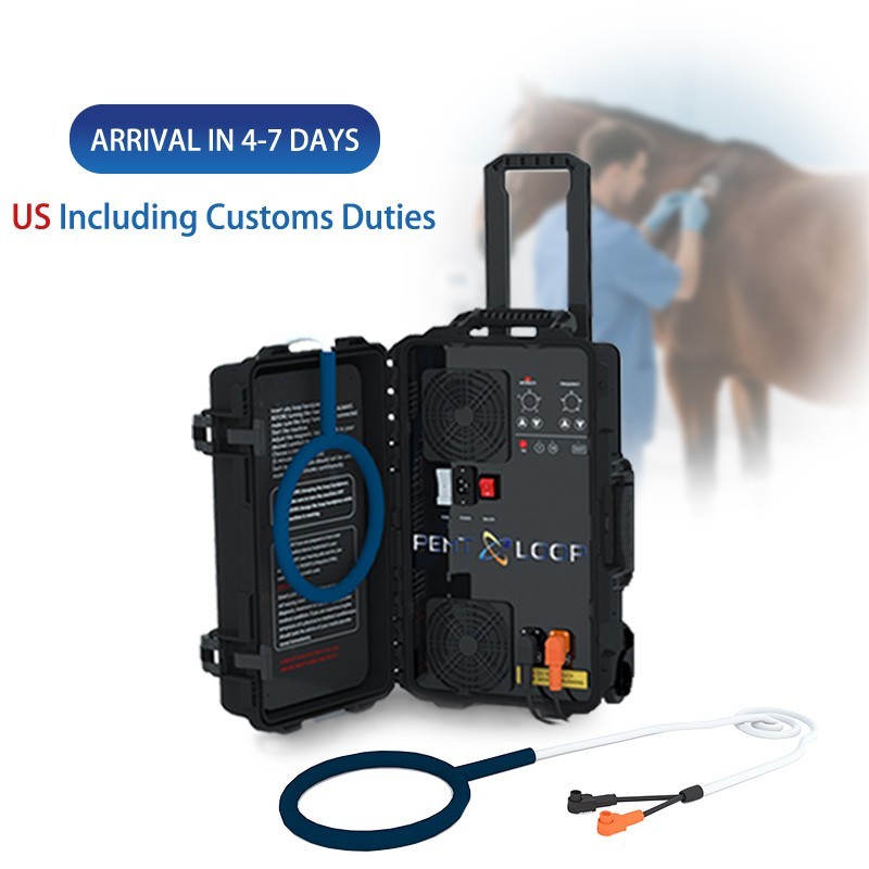 Equine Loop PEMF Treatment Combo Cold Laser Magnetic PMST Loop Horse Machine