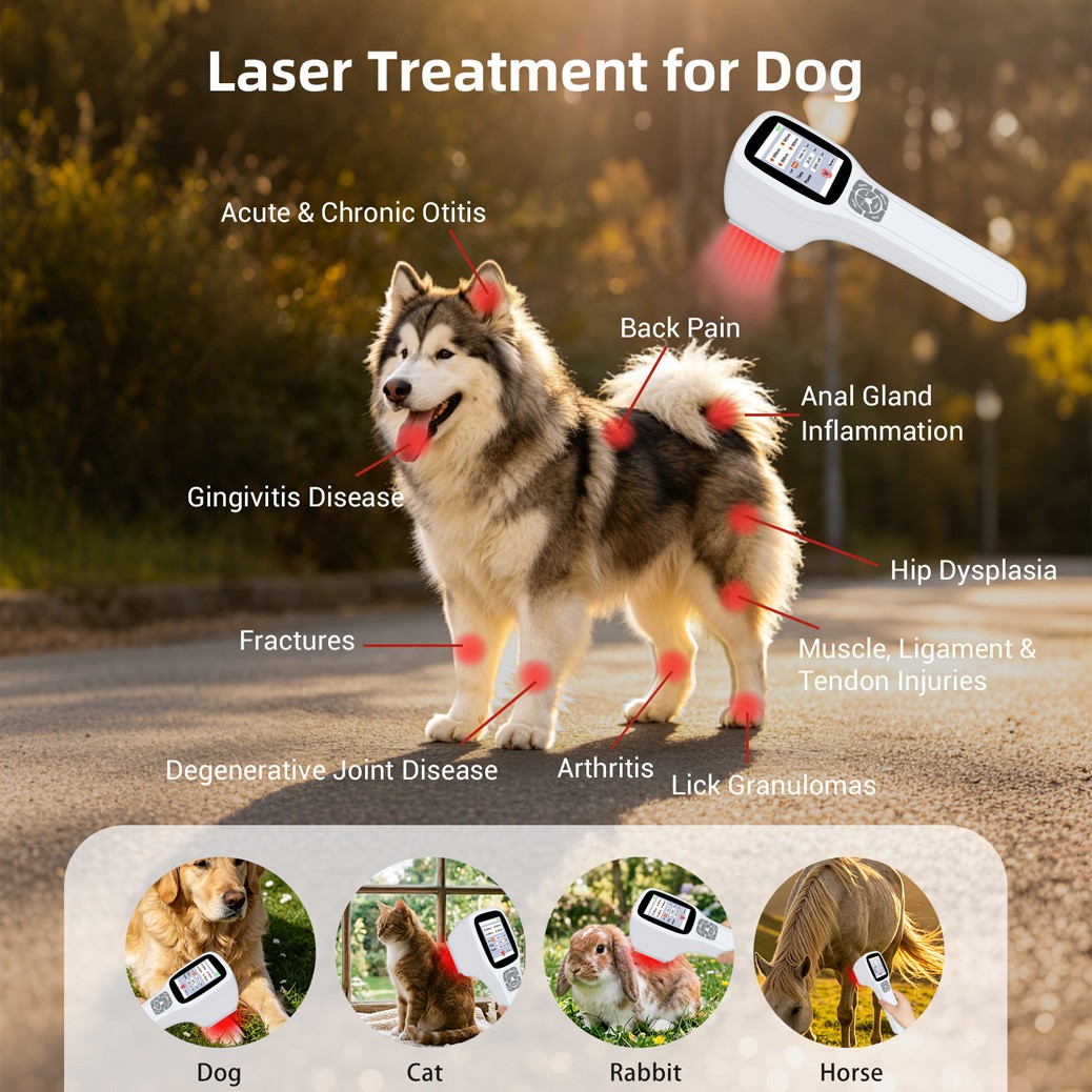 2.5W Cold Laser Therapy for Hand Pain 25 Diodes 4 Wavelength Independent Control