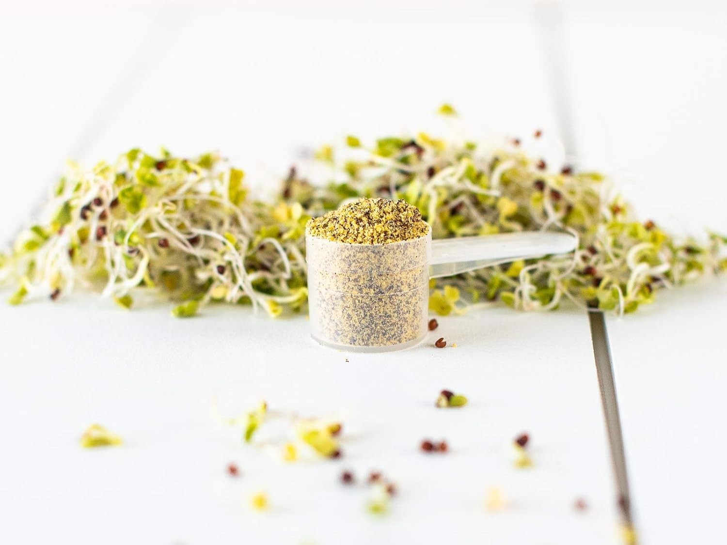 Organic Broccoli Sprout Powder, Freeze-dried: 36 Servings | Grown, 1 Scoop =…