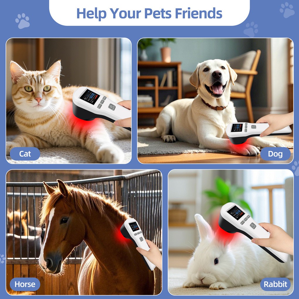 Handheld Cold Laser Therapy Device 20 Diodes 880mW for Human Pet Pain Relief Use