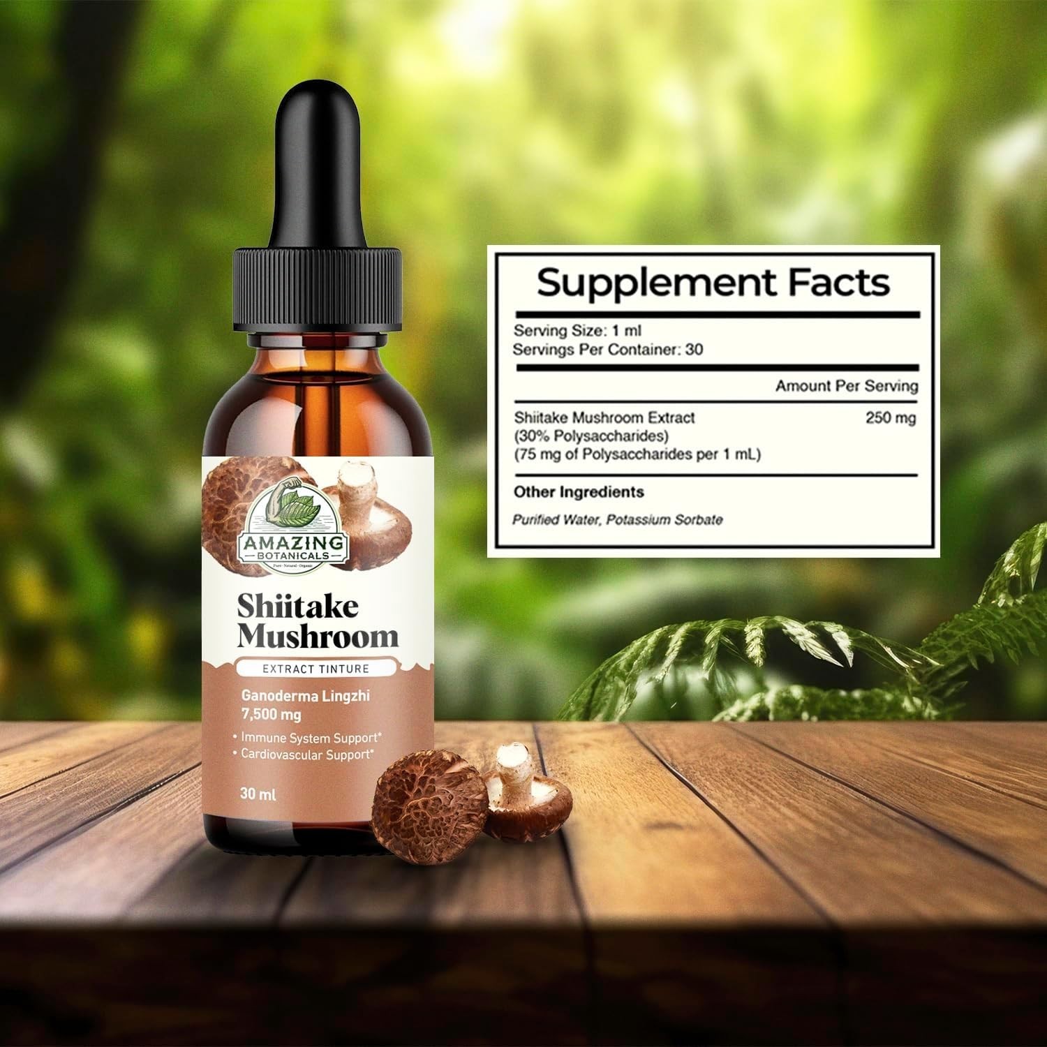 Amazing Botanicals Shiitake Mushroom Extract Tincture Immune Wellness Support