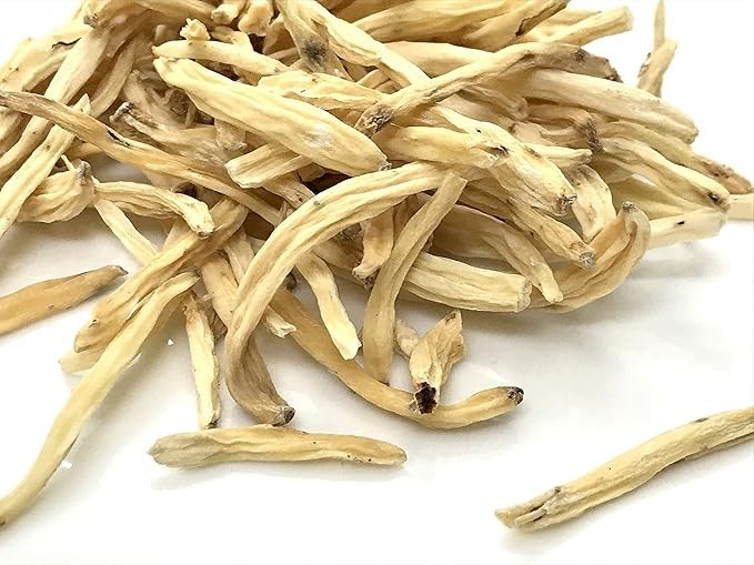 Safed Musli Roots Chlorphytum Borivillianum increases male stamina reduce stress