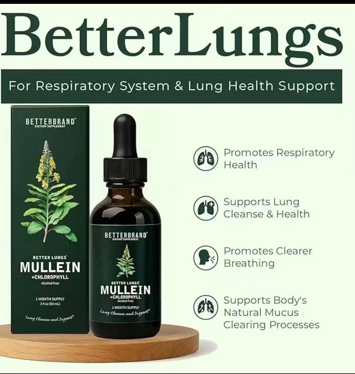 Mullein Leaf & Chlorophyll Cleanse designed for Lung Detox & Mucus Drops – 30…