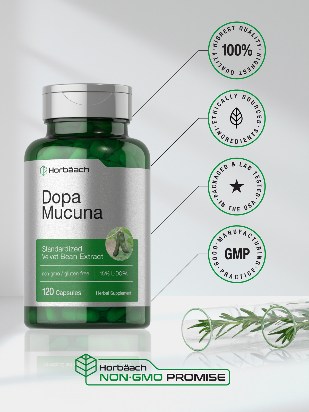 Dopa Mucuna | 120 Capsules | Non-GMO | by Horbaach