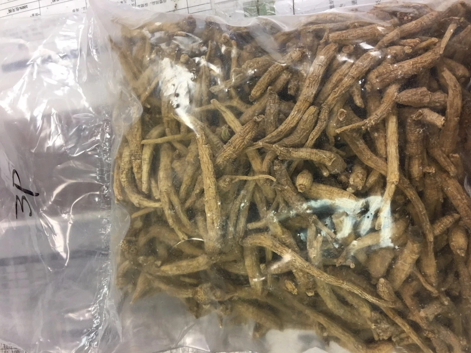 Lot Sale 3LBs Wholesale 100% American Wisconsin Long Ginseng 正宗美国威州正品小统参/花旗参-3磅装
