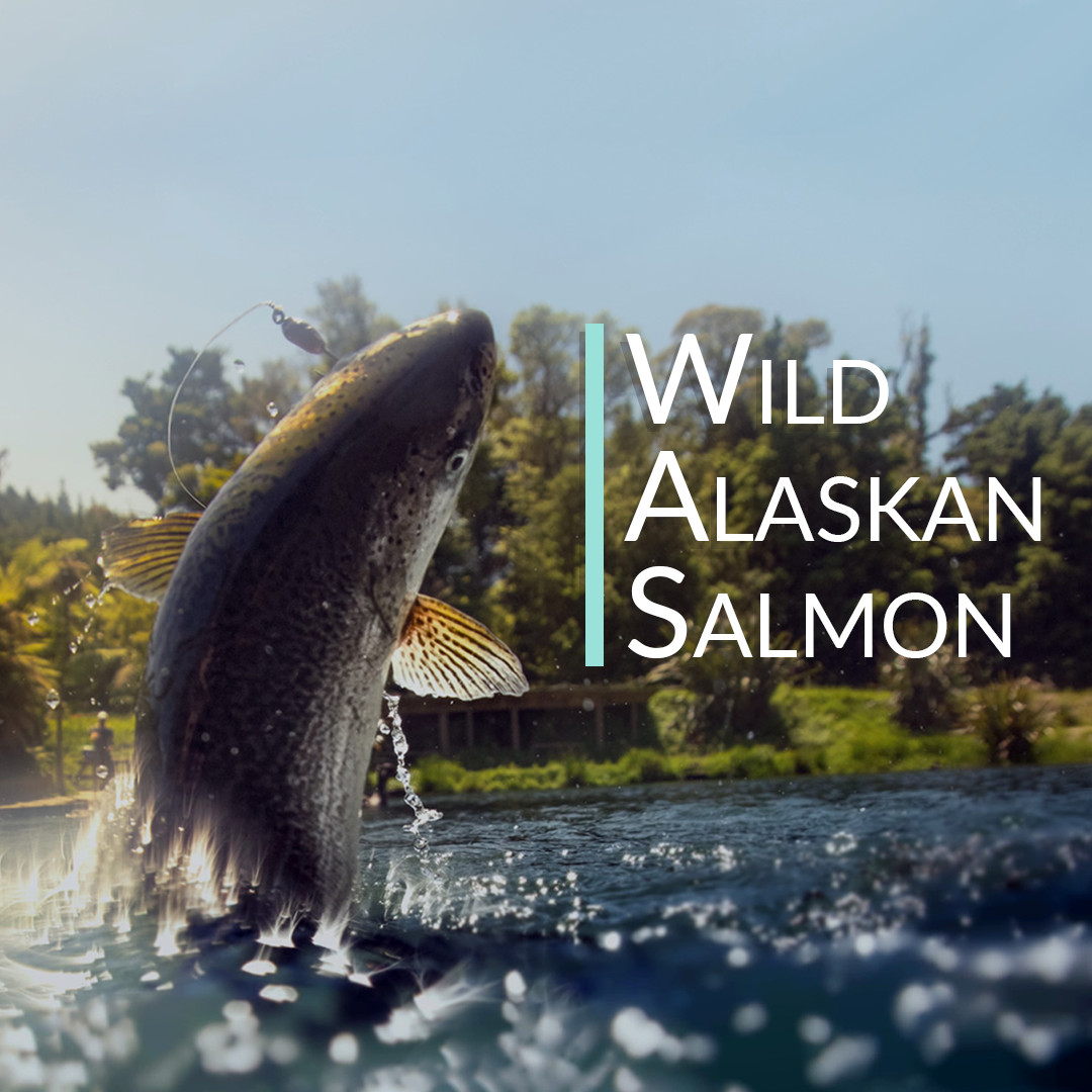 Wild Alaskan Salmon Bone Broth Powder – Pure Protein Organics – Unflavored