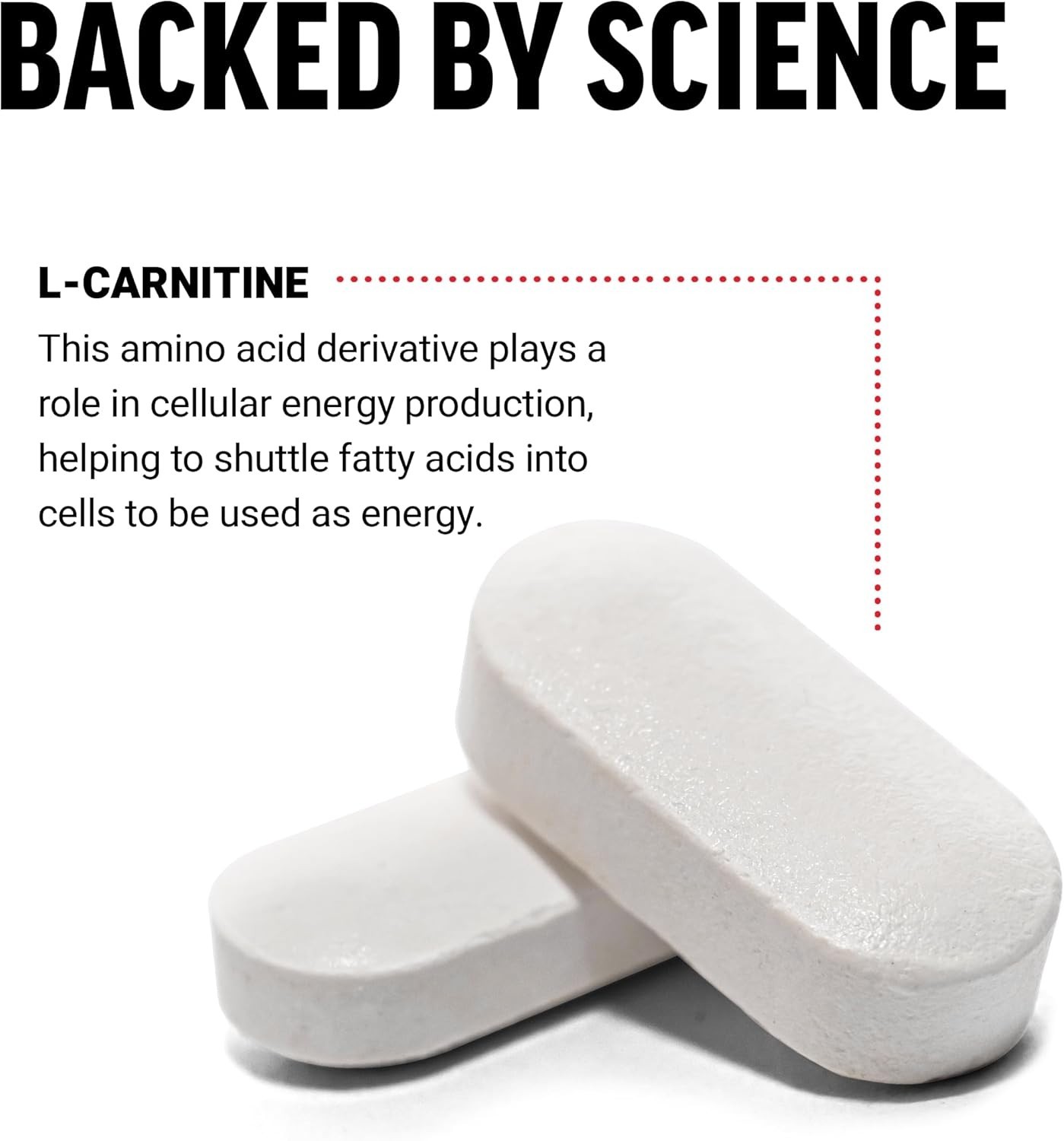 Force Factor L-Carnitine 1000 mg Capsules 90 Count for Weight Management
