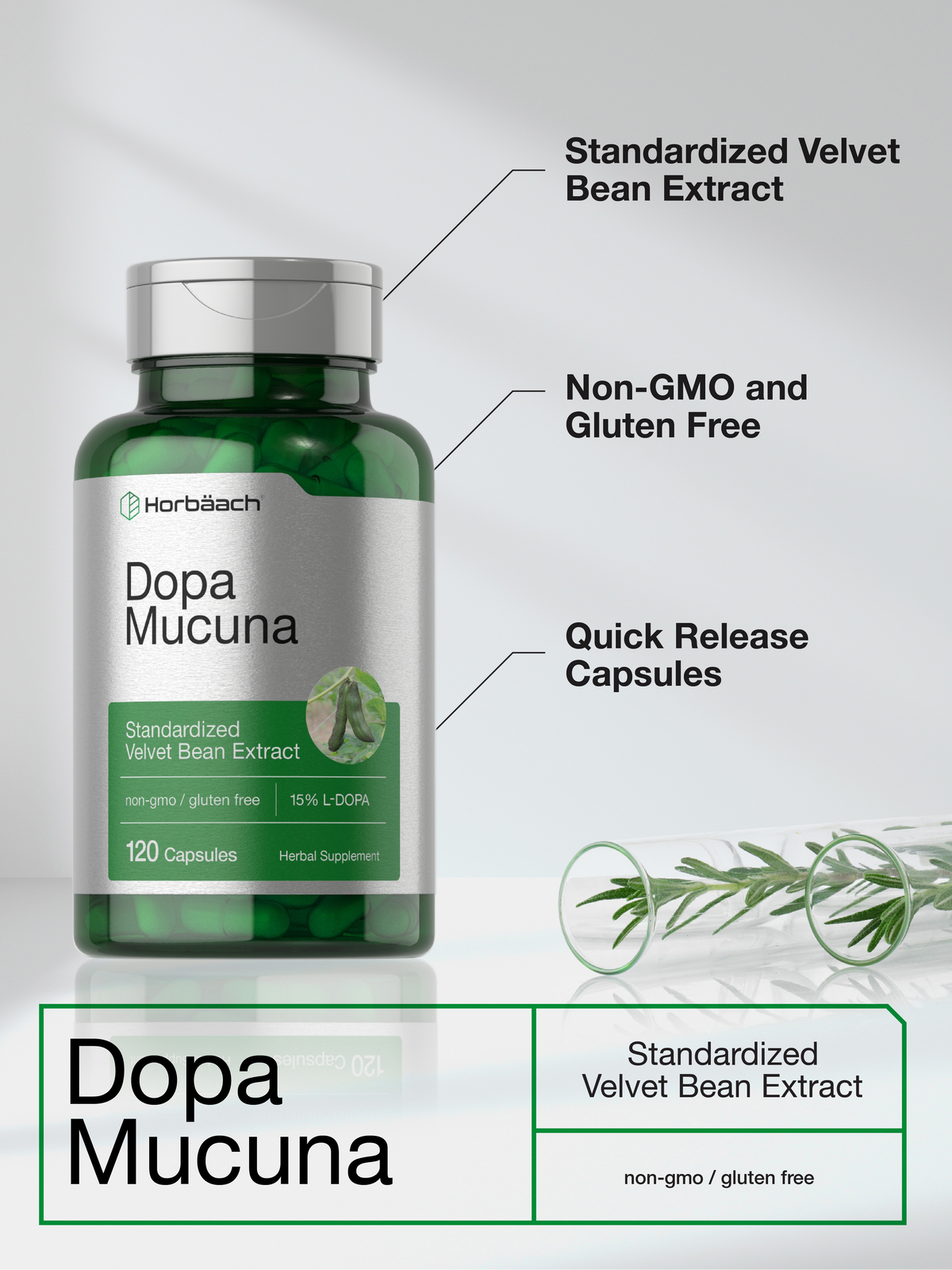 Dopa Mucuna | 120 Capsules | Non-GMO | by Horbaach