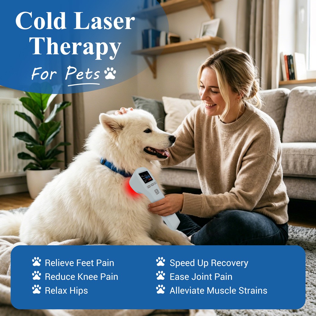880mW Cold Laser Therapy Device for Pain Relief Arthritis Tennis Elbow Human Pet