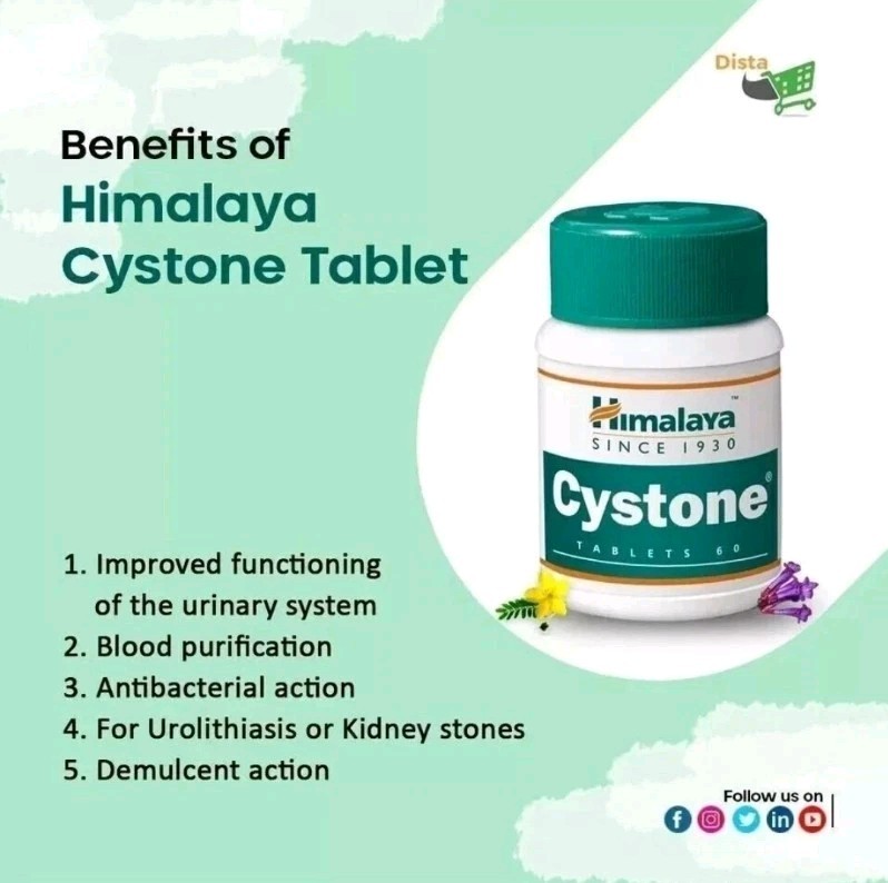Cystone by Himalaya Kidney Stone Relief Pack of 10 | Herbal | Long Expiry
