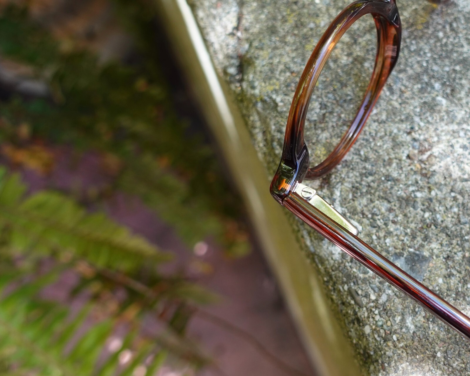 Alexander Shiny Brown 41mm Iconic Round Eyeglasses
