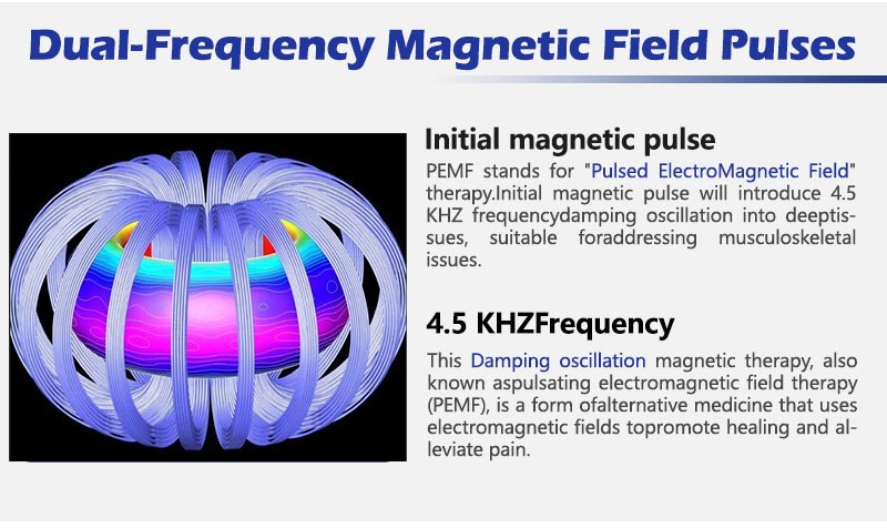 Portable PEMT Loop Magnetic Therapy PEMF PMST Physio Machine Horse Pain Relief