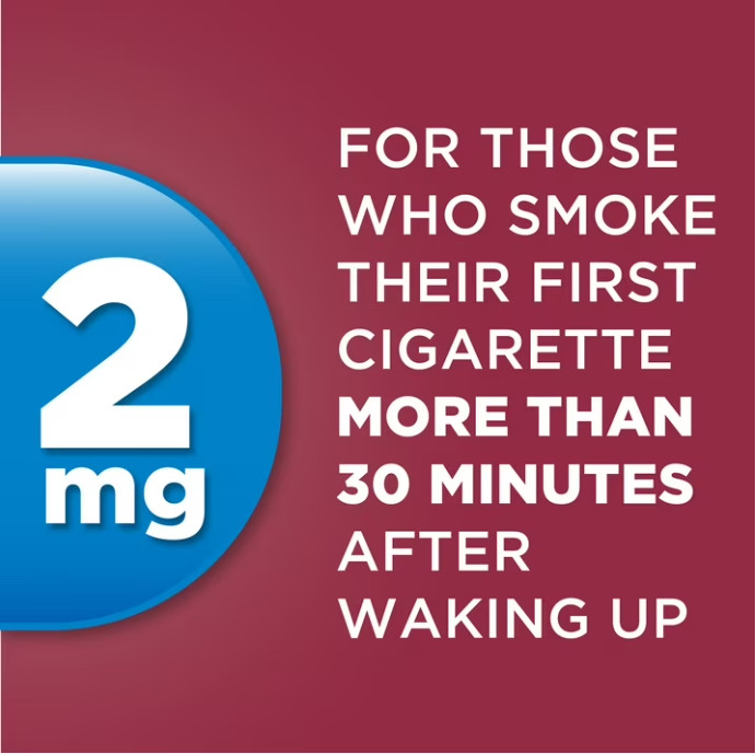 (2 pack) Equate Nicotine Lozenge 2 mg,Cherry Flavor,108 Count – Stop Smoking Aid