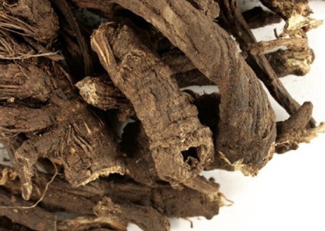 Osha Root 1/4 Pound Harvested Herbs