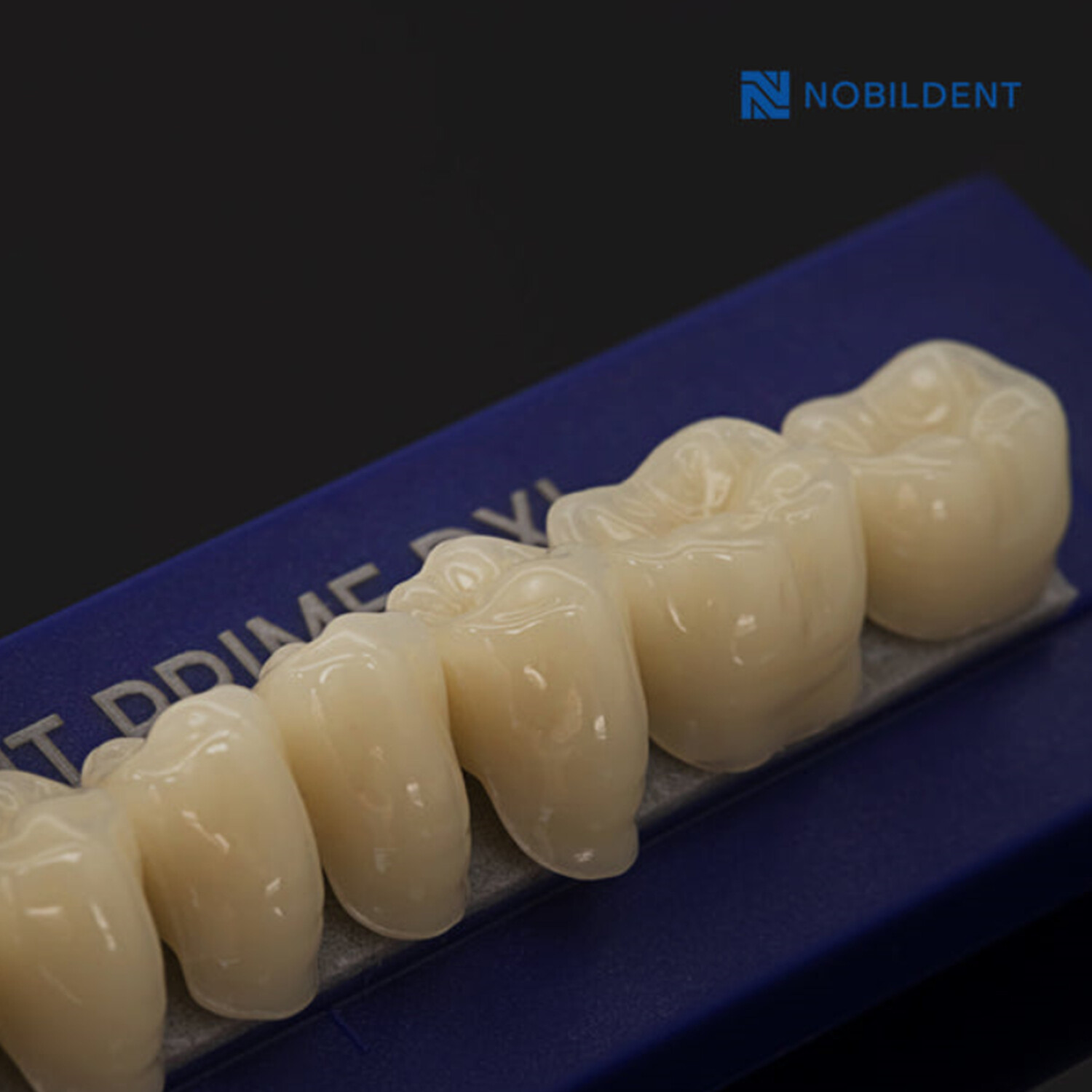 Prime Dental Resin False Denture Teeth Anterior Posterior Shade A1 A2 A3 A4