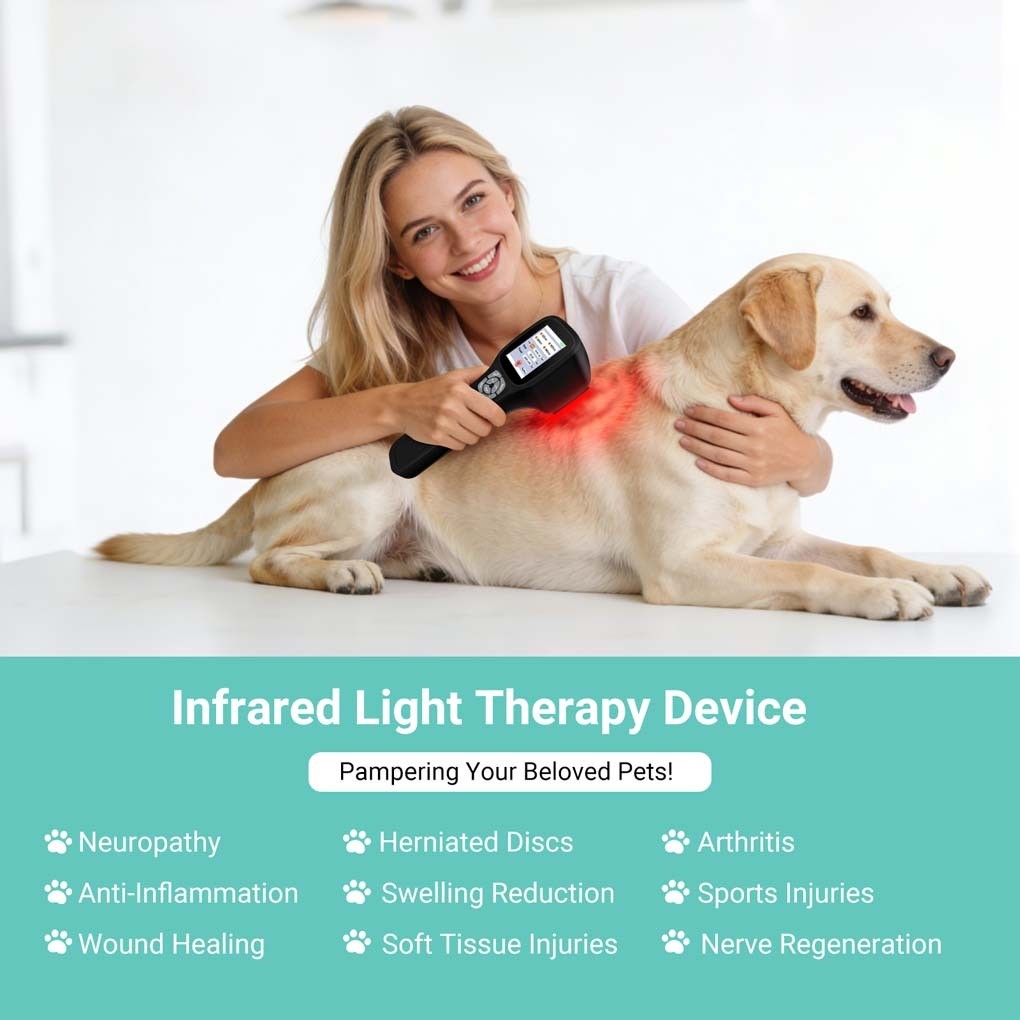 2500mW LLLT Laser Therapy Device 25 Diodes 650 808 905 980nm for Arthritis
