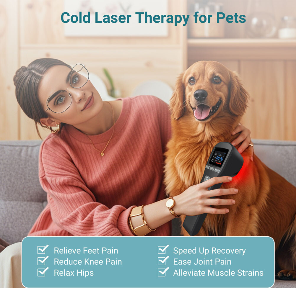 880mW Cold Laser Therapy Device 650nm 808nm LLLT for Pain Relief Muscle Recovery