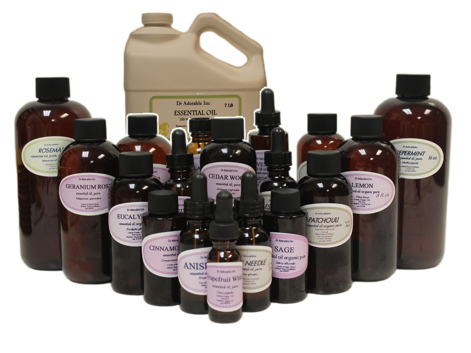 Parsley Seed Essential Oil Therapeutic Grade Organic Sizes from 0.6 oz to Gallon