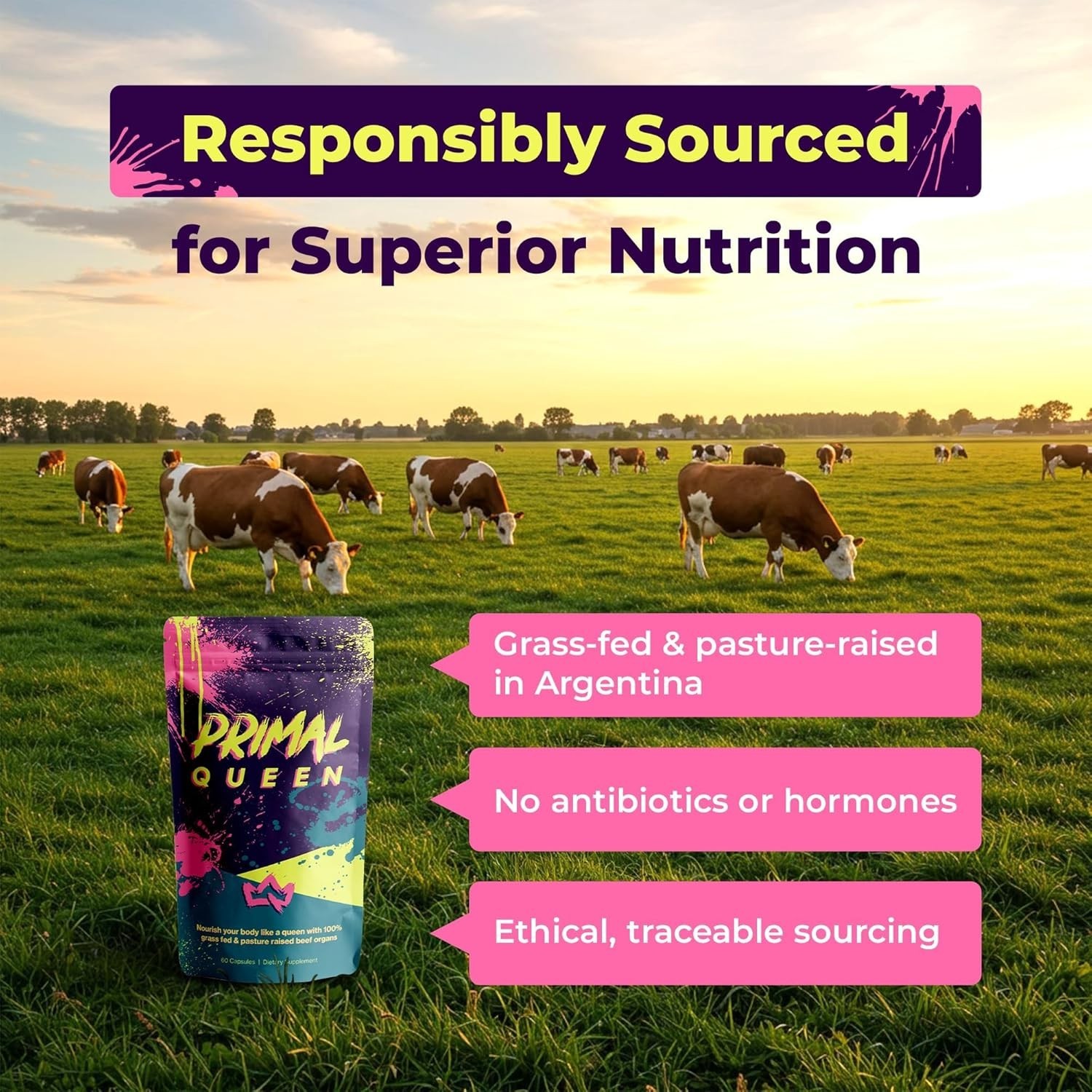 Primal Queen Female Organ Supplement – 2-Pack – Grass-Fed Beef Liver, Heart, Kid