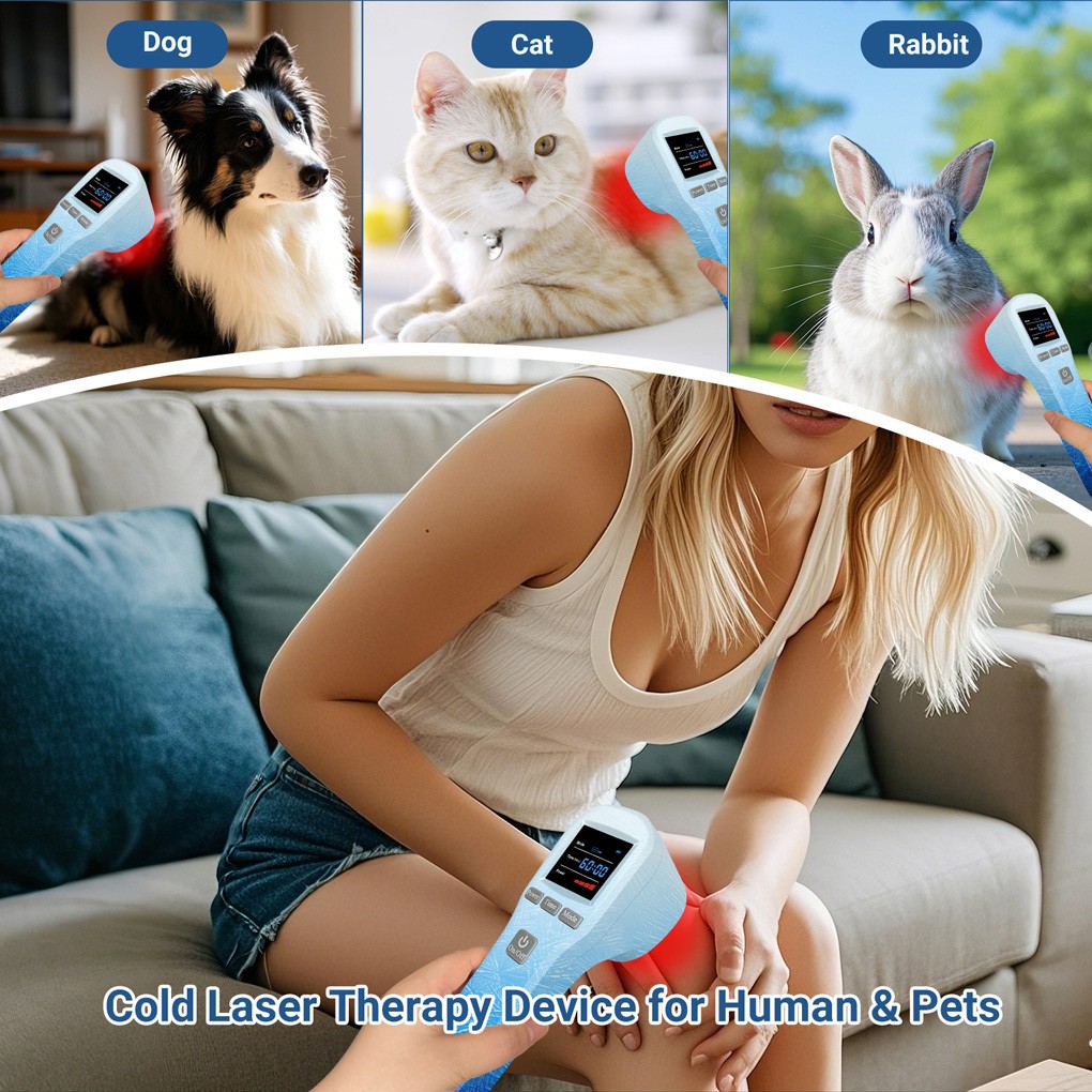 Handheld 20 Diodes Cold Laser Therapy Device 650nm 808nm for Joint Pain Relief