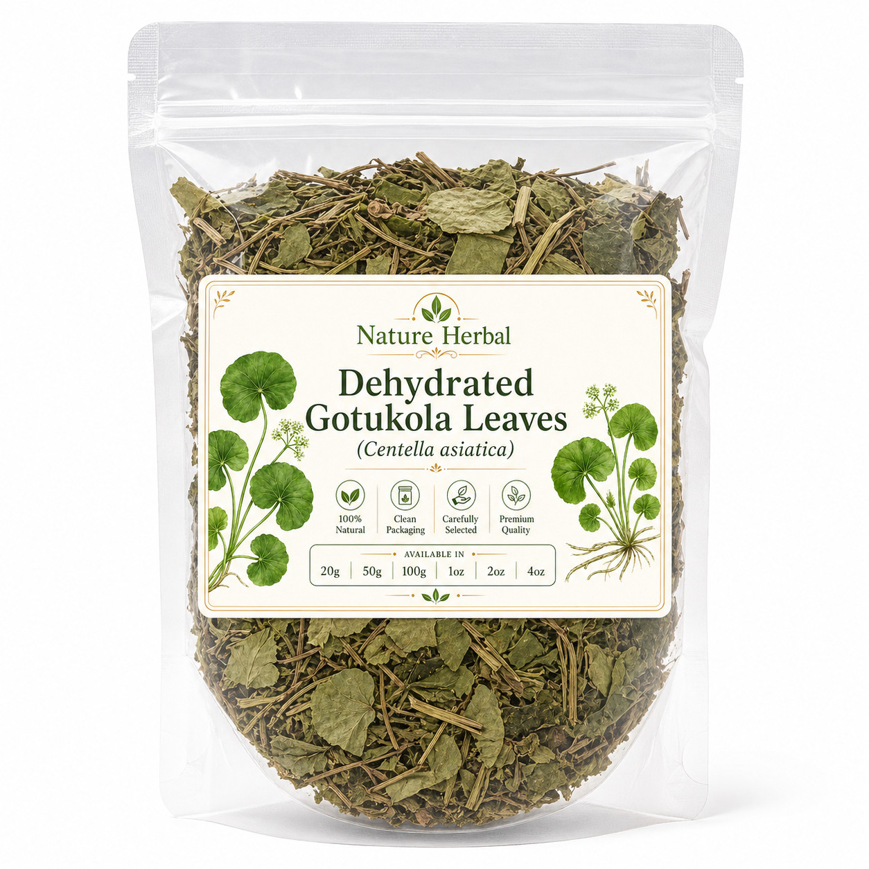 Dried Gotu Kola Leaves Centella Asiatica Pennywort Whole Leaf Herbal Tea Ceylon