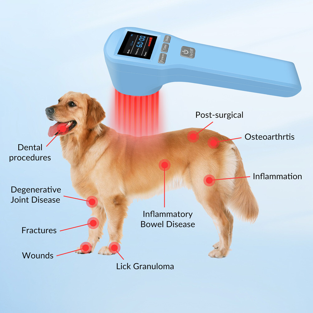 20 Diodes Cold Laser Therapy Device 880mW for Sciatica Back Nerve Pain Relief