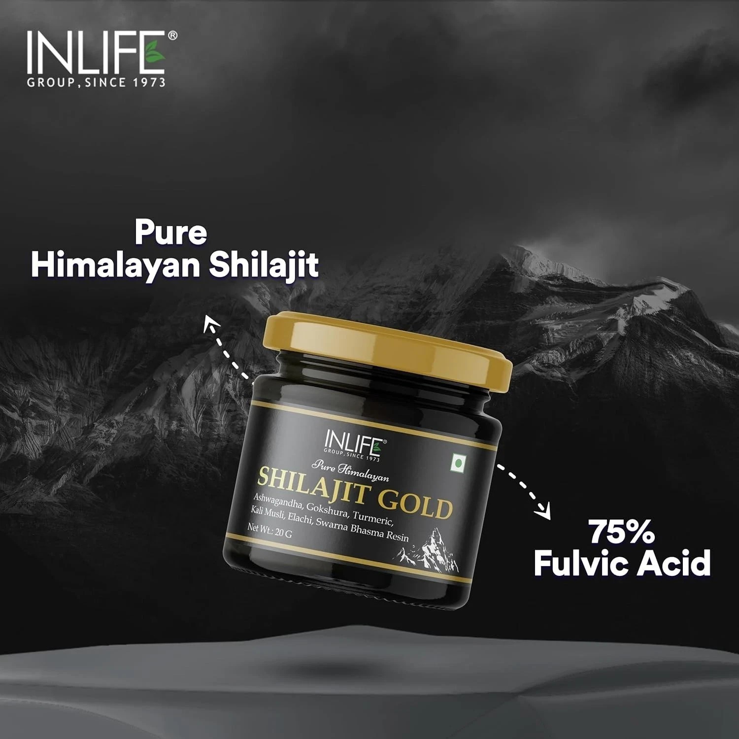 INLIFE Shilajit Gold 20G