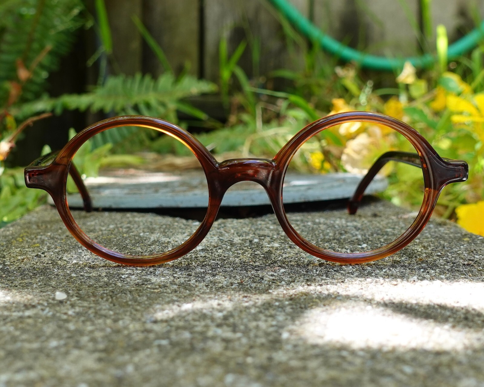 Alexander Shiny Brown 41mm Iconic Round Eyeglasses