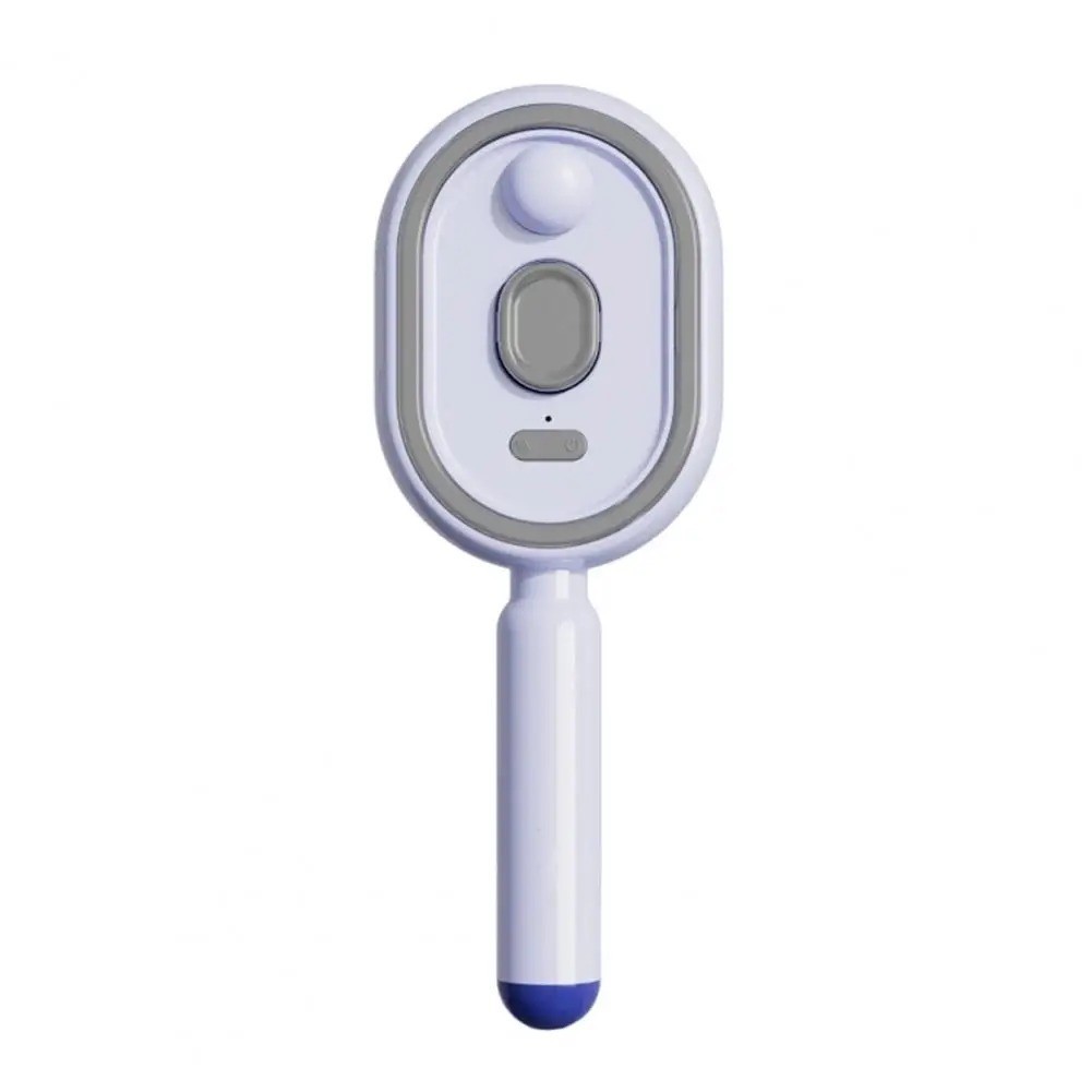 2026 New Electric Steam Brush, Electric Steam Brushs for Hair, Rechargeable