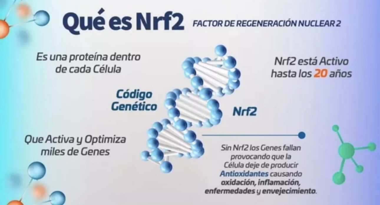 ACTIVZ COMBO : 1 GNMX + 1 LINQ + 1 OPTIMEND + 1 AIRO FREE SHIPPING BE HEALTHY!!!
