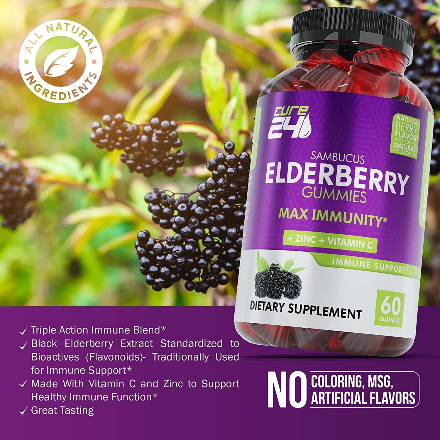 Cure24 Sambucus Natural Elderberry Gummies Zinc and Vitamin C,Kids & Adults 60