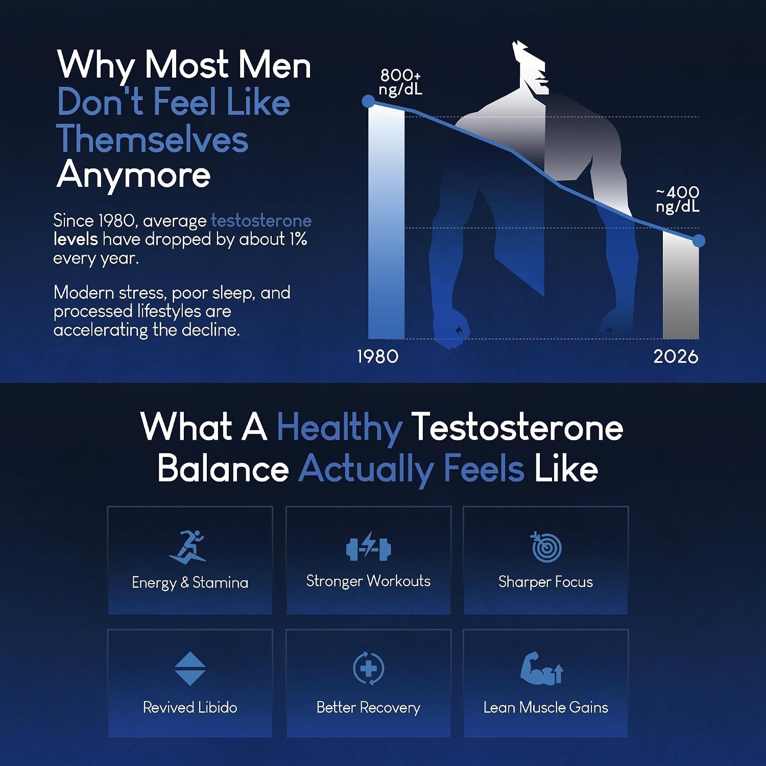 Beef Organ Supplement for Men Grass-Fed Testicle Blood Liver Heart & Bone Marrow
