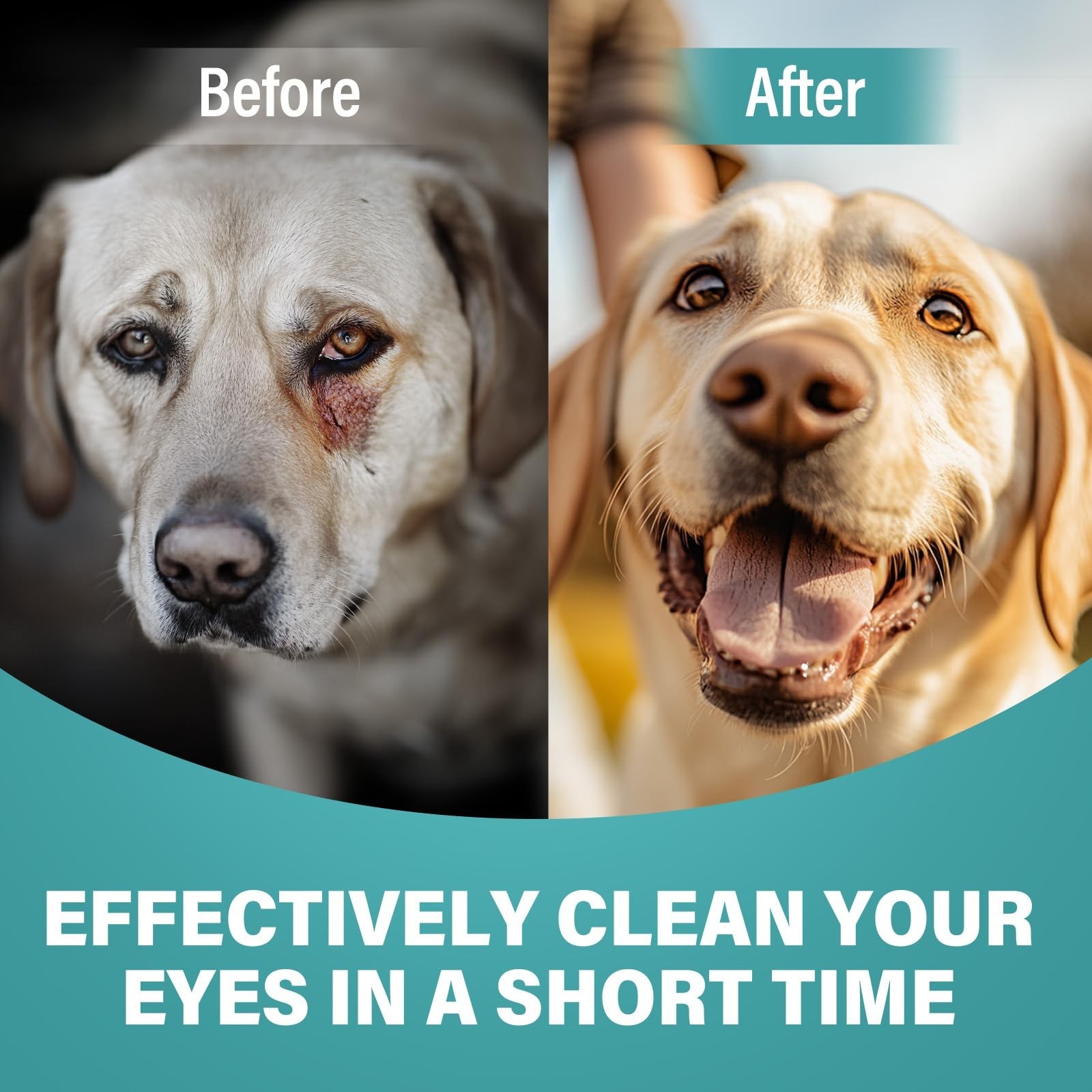 Soothing Eye Drops for Dogs – Cataract Relief, Tear Stain Reduction, 2 x 20ml