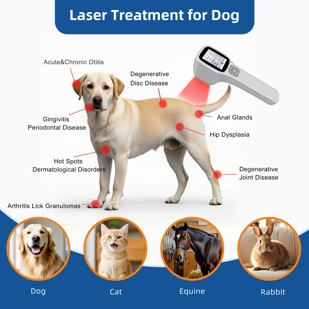 Cold Laser Therapy Device 25 Diodes 650nm 808nm 905nm 980nm Inflammation Relief