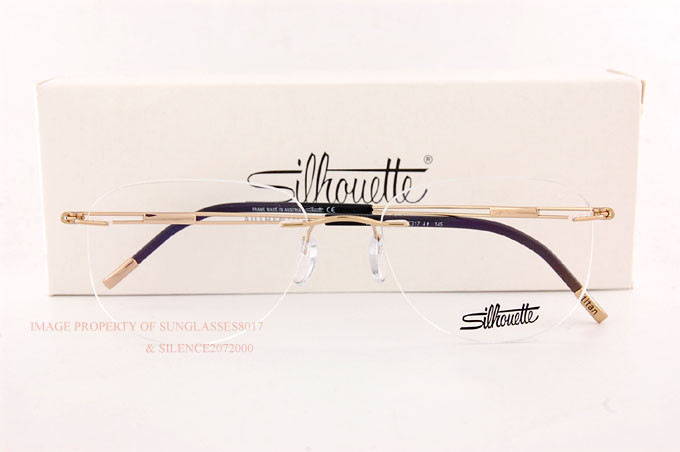 New Silhouette Eyeglass Frames TITAN NEXT GENERATION 5521 EX 7530 Lavish Gold