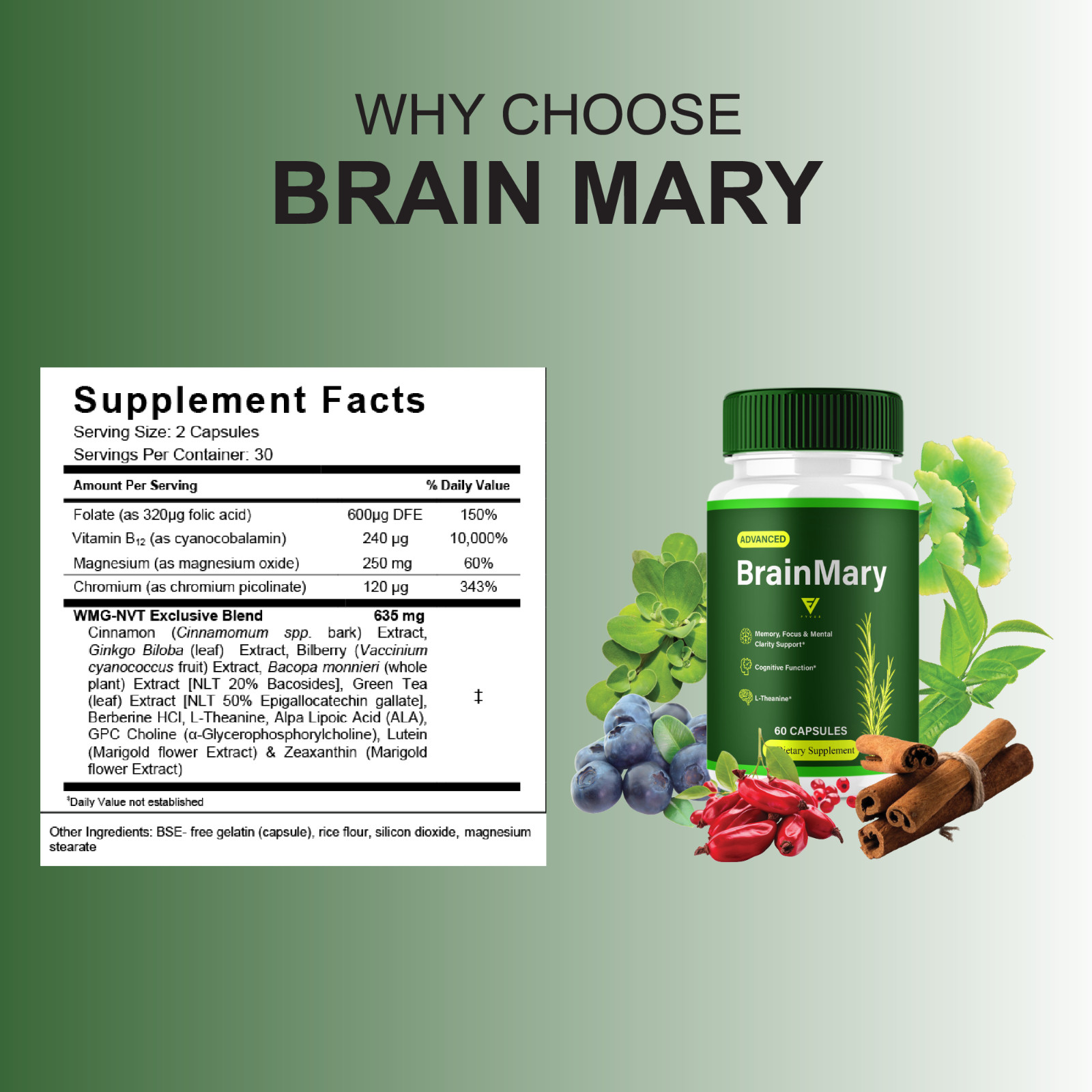 (5 Pack) Brain Mary Advanced Formula, BrainMary Nootropic Support (300 Capsules)