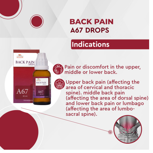 2 x Allen A67 Homeopathy Back Pain Drops (30ml)