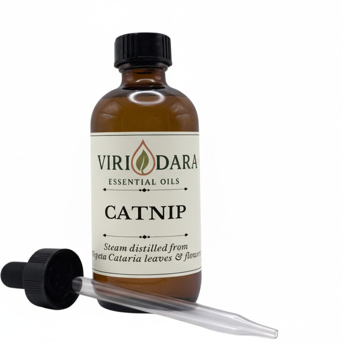Organic Catnip Essential Oil – 100% Pure & Natural – Free Shipping