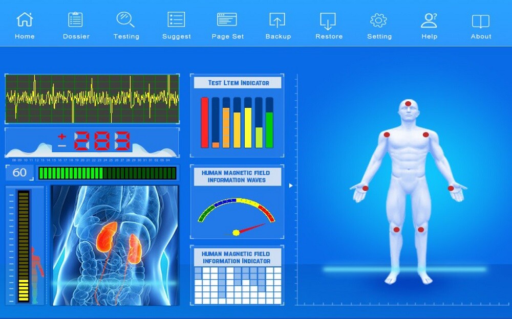2024 USA 52 Reports Quantum Magnetic Resonance Body Analyzer Newest