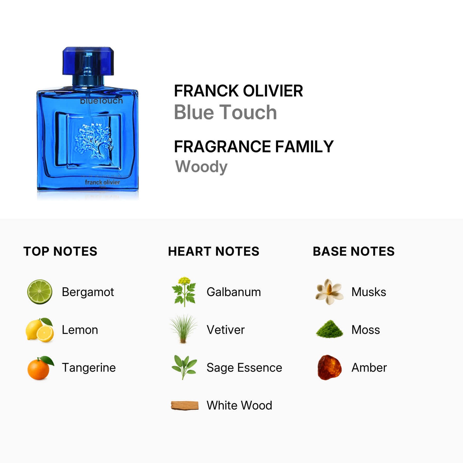 Franck Olivier Men’s Blue Touch EDT 3.4 oz Fragrances 3516642130113