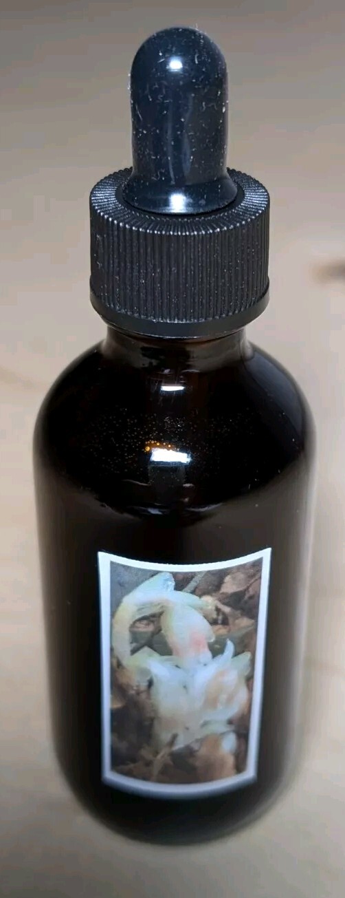 Ghost Pipe Tincture 60 mL All Natural Tinctured immediately after picking