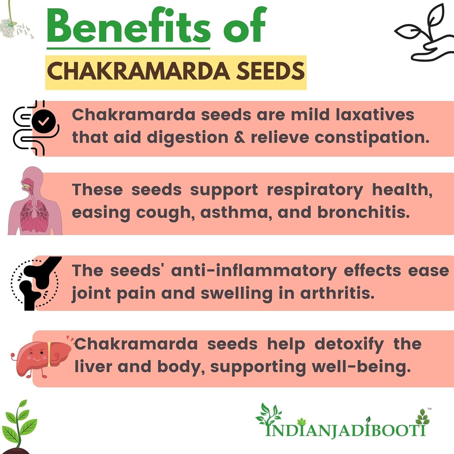 Puwar Seeds (Cassia Tora) Chakramarda Beej Ayurvedic Whole Herb-400 GRAMS